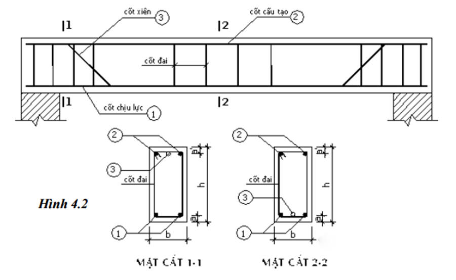 Cấu tạo dầm BTCT 